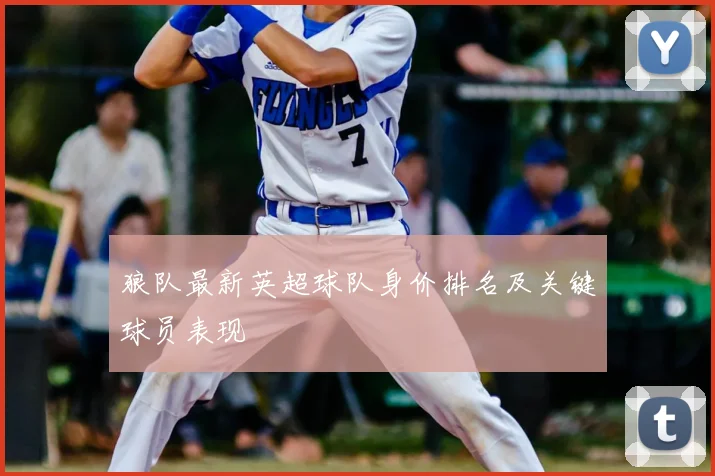 狼队最新英超球队身价排名及关键球员表现